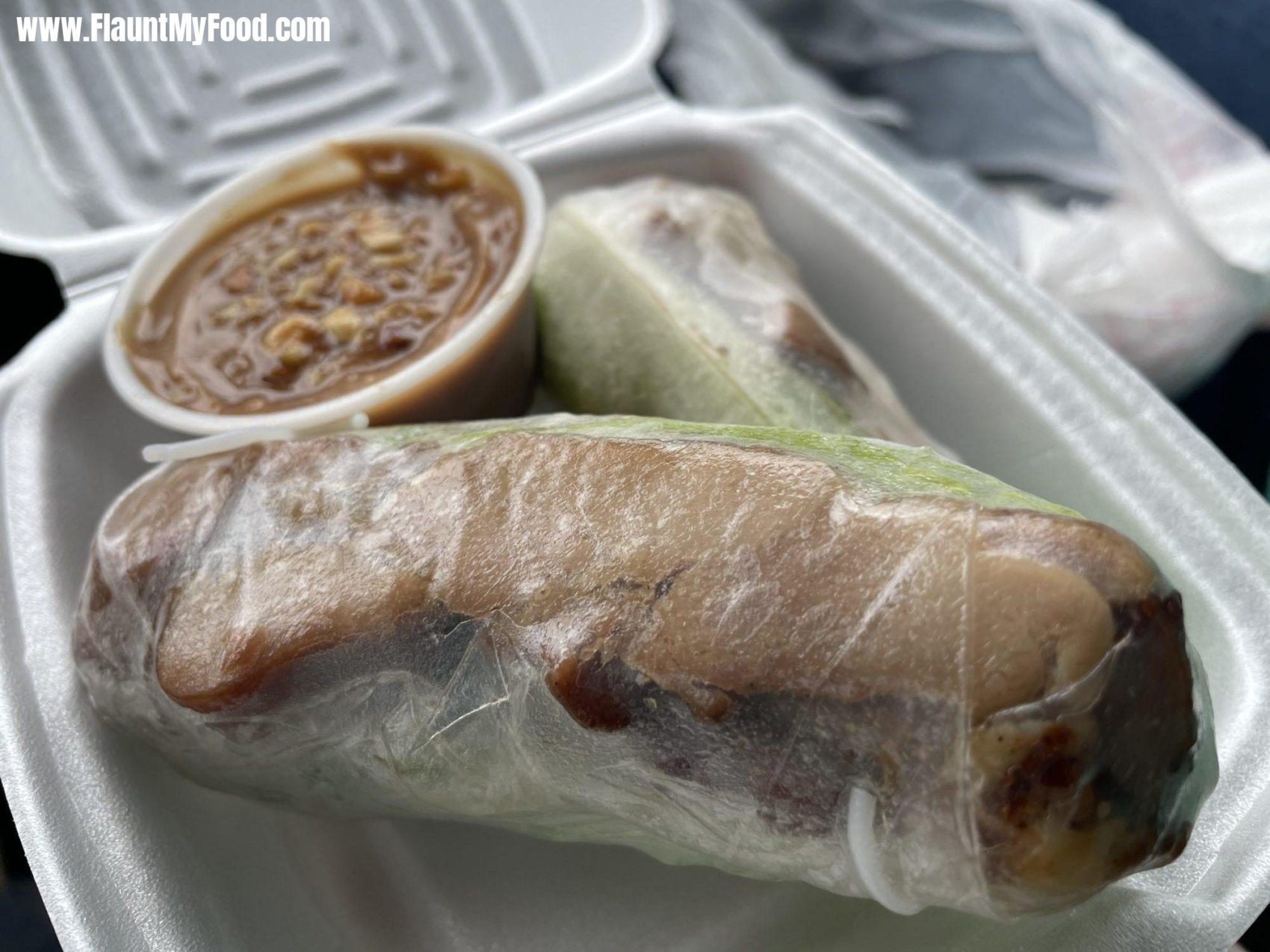 Grilled chicken rolls , Pho and Grill Southwest Fort Worth Texas Vietnamese
